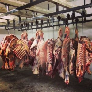 Polyface Farm Summer Internship: Week Fourteen Image